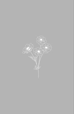 three flowers on a gray background with white writing in the bottom right corner and one flower at the top left corner