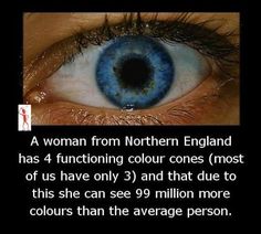 a woman from northern england has 4 functioning color tones most of us have only 3 and that due to this she can see 99 million more colours than the average person