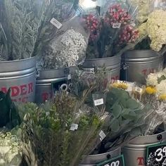 several buckets filled with different types of flowers