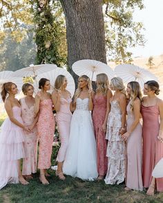 a group of women standing next to each other holding umbrellas in front of a tree