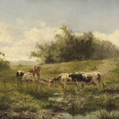 cows drinking water from a stream in a field