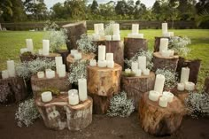 many white candles are placed on tree stumps