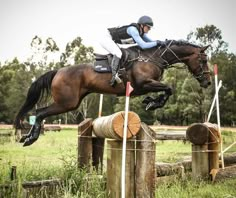 a person jumping a horse over an obstacle in a field with trees and grass behind them