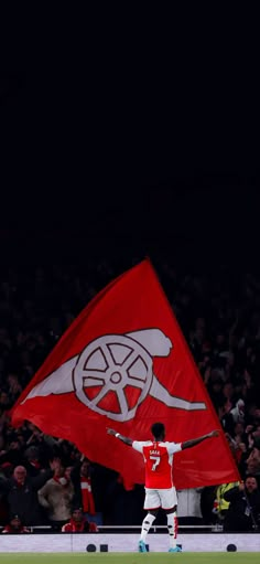 a man holding a flag on top of a soccer field