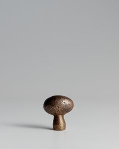 a small mushroom sitting on top of a table