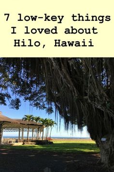 a tree with the words 7 low key things i loved about hilo, hawaii