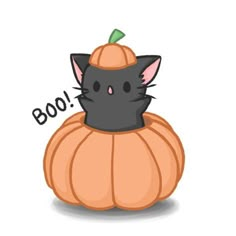 a black cat sitting on top of a pumpkin with the word boo written above it