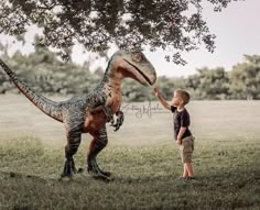 a little boy standing next to an adult dinosaur in a field with trees behind him