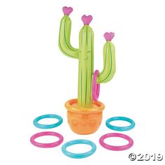 an image of a cactus in a pot with rubber o rings around it and other items