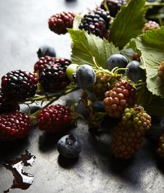 berries and leaves on a table with water droplets