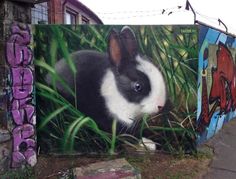 a rabbit painted on the side of a building next to some grass and graffiti writing