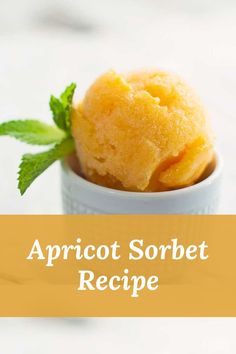 Apricot Sorbet is perfect for a hot summer's day or as a light dessert after dinner anytime of the year.
Apricot Sorbet is a delicious frozen treat made with just fresh apricots, fresh squeezed lemon juice and sugar. This makes a wonderful dessert or summertime snack. Fresh Apricots, Wine Basics, Raspberry Swirl Cheesecake, Light Dessert, Wine Recipe, Sweet White Wine, Squeezed Lemon