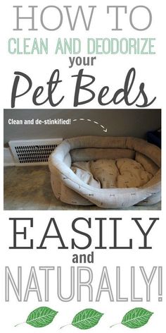 a poster with the words how to clean and deodorize pet beds easily and naturally