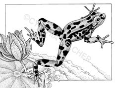 a black and white drawing of a frog sitting on top of a plant with flowers