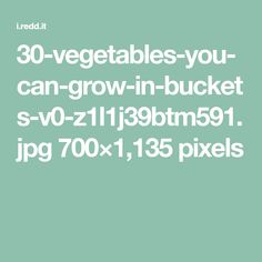 the text reads 30 vegetables you can grow in bucket sv - 01 11 / 28pm9