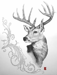 a drawing of a deer with antlers on it's head