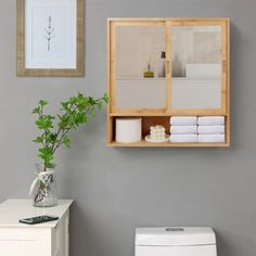 a white toilet sitting next to a wooden shelf