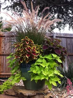 a large potted plant sitting on top of a pile of rocks next to a wooden fence