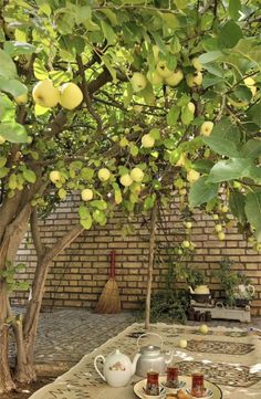 an outdoor table with tea and fruit on it