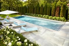 an empty swimming pool surrounded by greenery and white flowers with lounge chairs around it