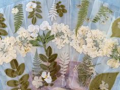 several different types of flowers and leaves on a sheet of clear material with blue background