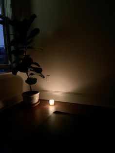 a potted plant sitting on top of a wooden table next to a lit candle