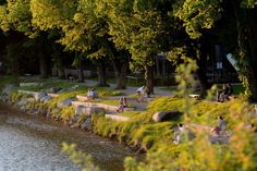 people are sitting on benches along the water's edge near some trees and grass