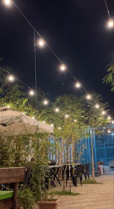 an outdoor dining area with lights strung from the ceiling and potted plants on the patio