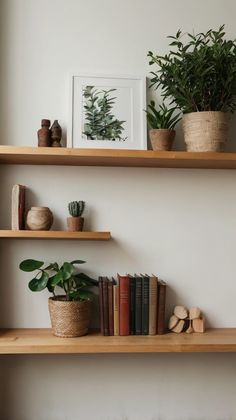 two wooden shelves with plants and books on them