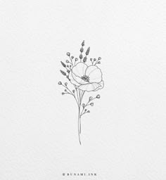 an ink drawing of a flower on white paper