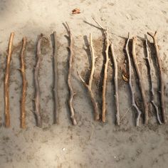 several branches are laid out on the sand in order to be used as an art project