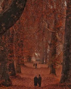 two people walking through the woods in autumn