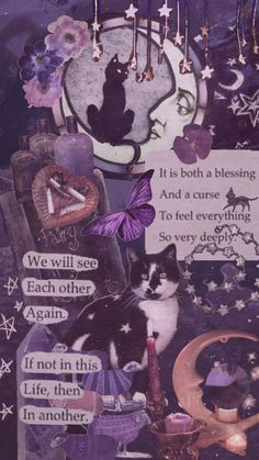 an altered collage with cats and other items