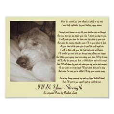 an image of a dog's face with the words i will be your strength