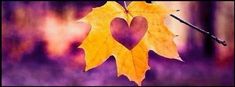 a heart shaped leaf hangs from a branch in front of purple and yellow blurred background