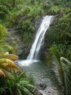 a waterfall in the middle of some trees and plants with water coming out of it