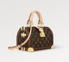 Package Aesthetic, Cannes Louis Vuitton Bag, Luxury Brown Bag With Gold-tone Logo Plaque, Luxury Brown Bags With Gold-tone Hardware, Louis Vuitton Fur Bag, Louis Vuitton 2000s Bag, Wishlist 2024, Purse Brands