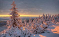 snow covered pine trees on the top of a snowy mountain at sunset, with clouds in the sky