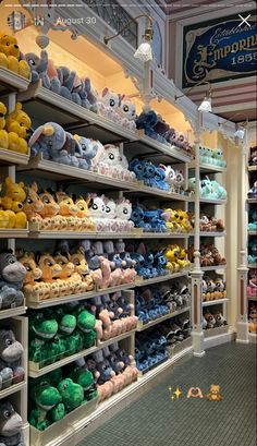 there are many stuffed animals on shelves in the store