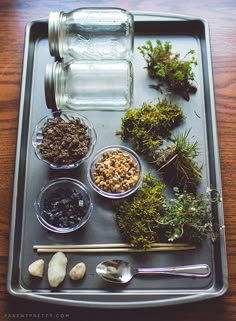 an assortment of herbs and rocks on a tray