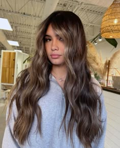 Light Brown Hair With Extensions, Light Brown Hair Extensions, Chocolate Hair With Highlights, Brown Hair With Ash Blonde Highlights, Brown Hair Extensions, Hair Color Pictures, Bombshell Hair, Simple Prom Hair, Hair Tint