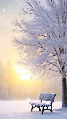 a park bench sitting in the snow next to a tree