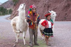 two young children standing next to an adult llama on the side of a road