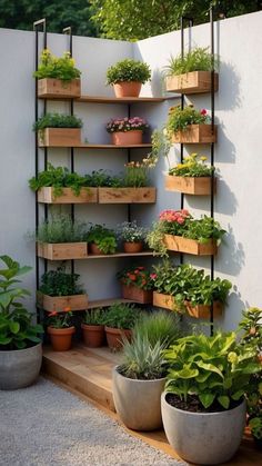 an outdoor garden with potted plants and wooden shelves on the side of a wall