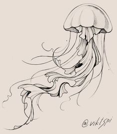 a drawing of a jellyfish