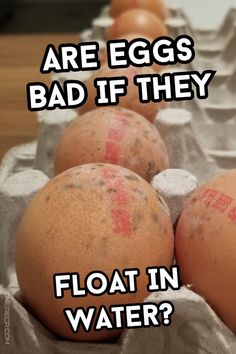 eggs with red marks on them sitting in an egg carton, and the words are eggs bad if they float in water?