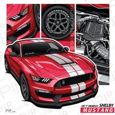 Mustang Shelby GT350 DESIGN BY @pjrstudio High quality car illustration for car lover search on instagram "pjr.studio" Ford Shelby Mustang, Car Organization Ideas, Car Organizers, Cars Decorations, Tattoo Car, Accessories Organization, Cars Drawing, Cars Modified