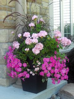 some pink flowers are in a black pot on the steps next to a brick building