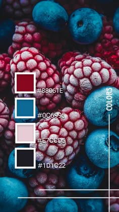 blueberries and raspberries are shown with the color scheme