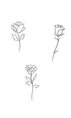 three roses are shown in black and white, with one single flower on the left side